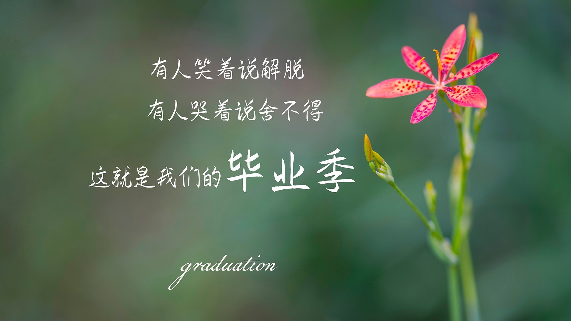焦点人物：当红球星私下生活生活揭秘，球星日常