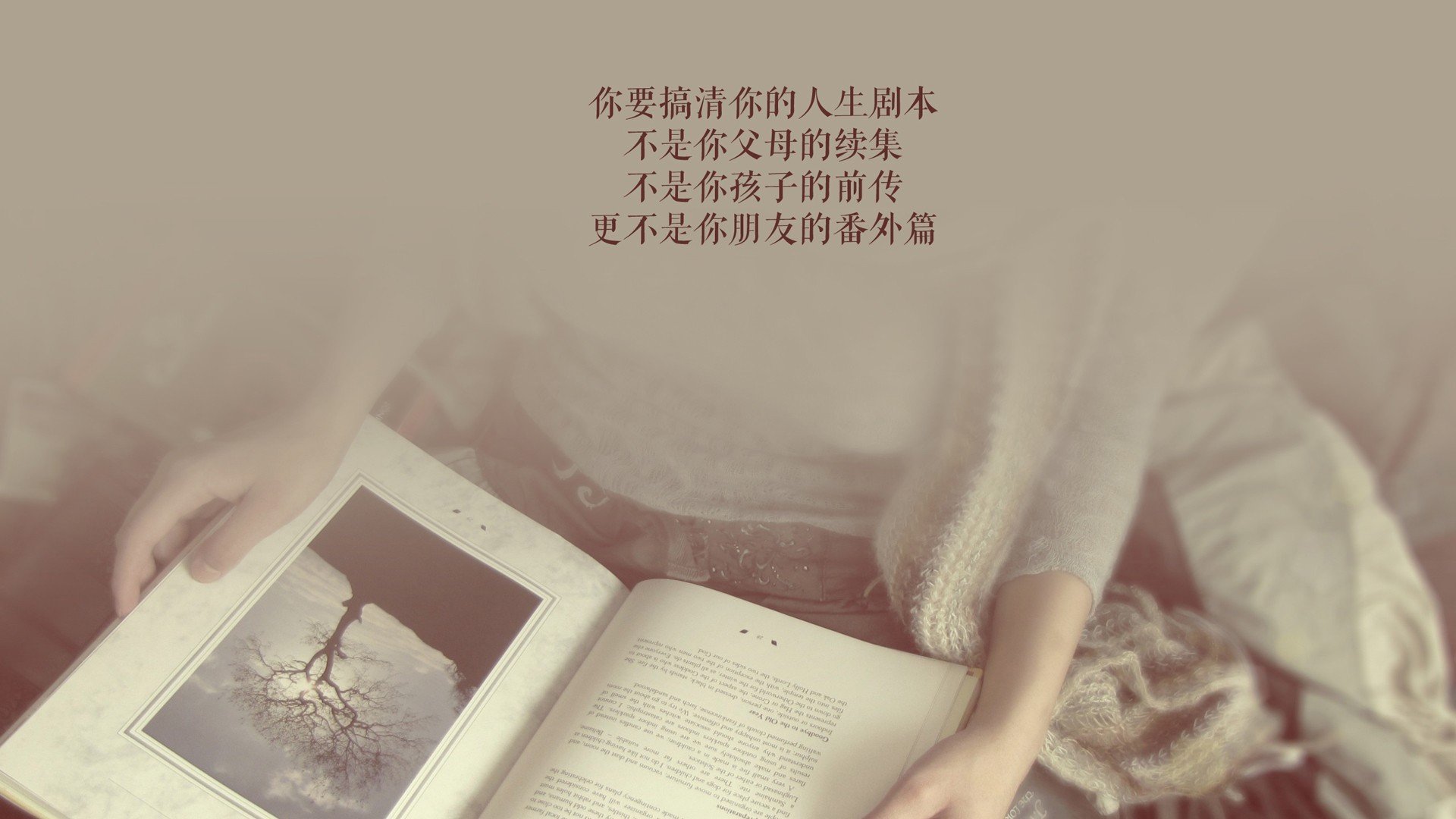 上海马拉松数万人开跑，上海马拉松赛开跑