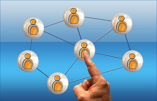 九游体育-英超球员社交媒体互动提升粉丝忠诚度研究，英超球队球迷