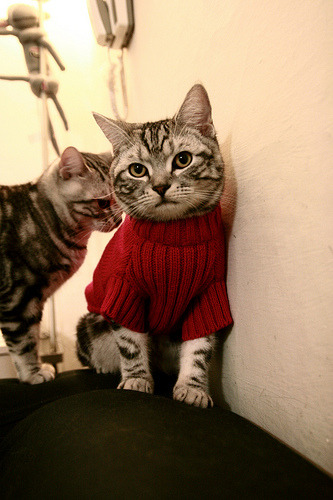 九游网页版-英超防守战术调整后拦截次数变化趋势分析，英超拦截榜