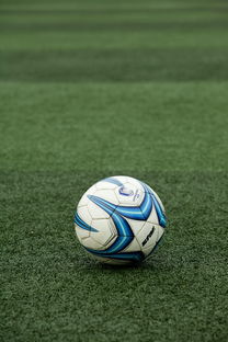 九游娱乐下载-高校体育赛事应急管理体系构建，体育赛事应急预案细则