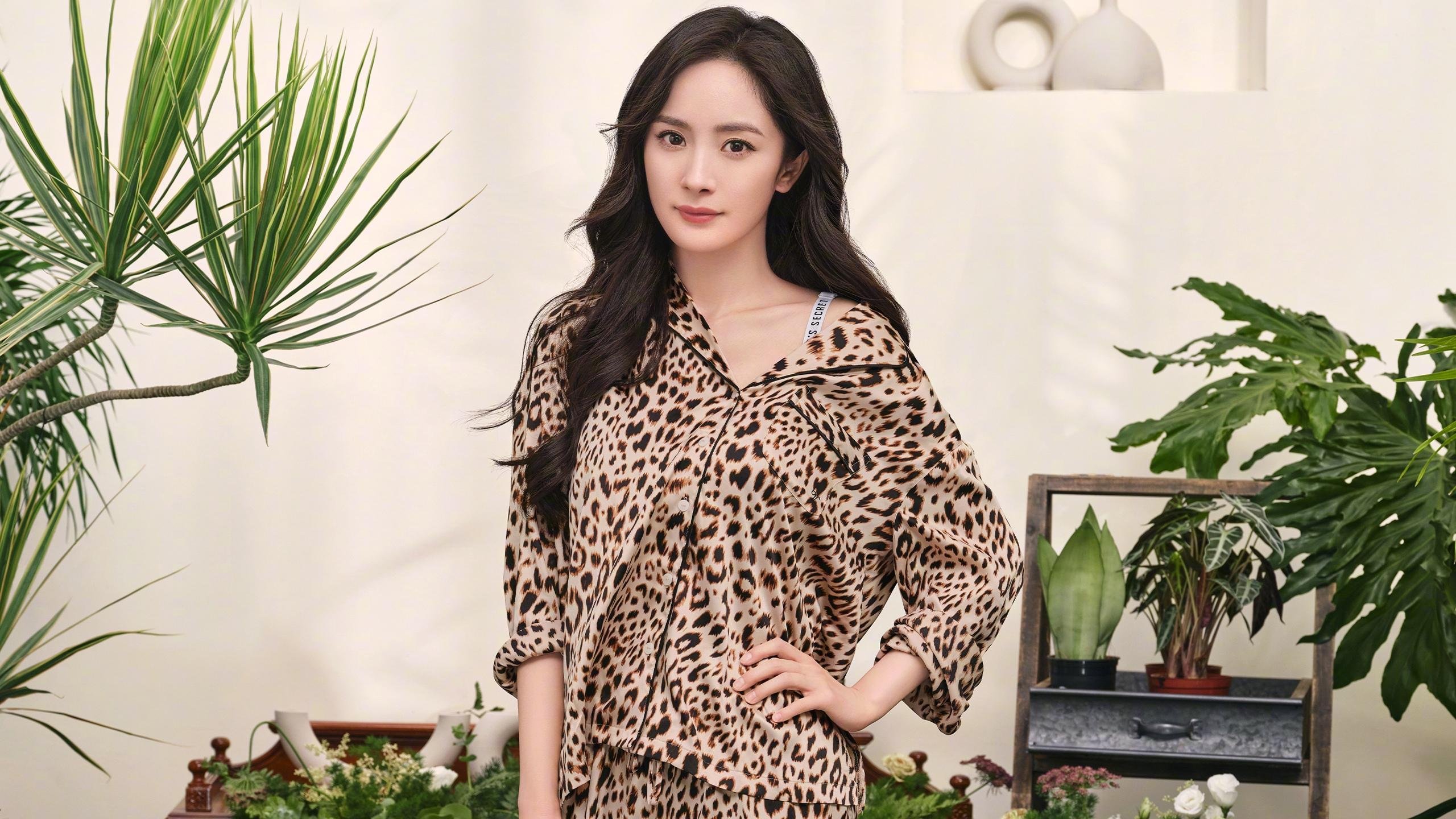 CBA球队优化战术体系 争取赛季佳绩，cba 阶段