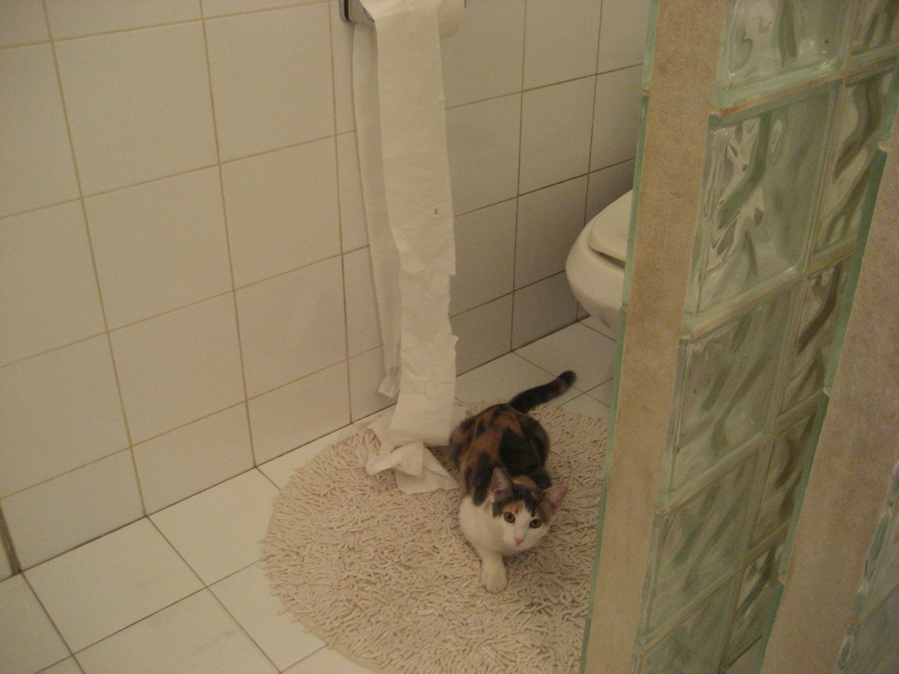 中国男篮构建核心战术系统提升联动性，中国男篮构建核心战术系统提升联动性的原因