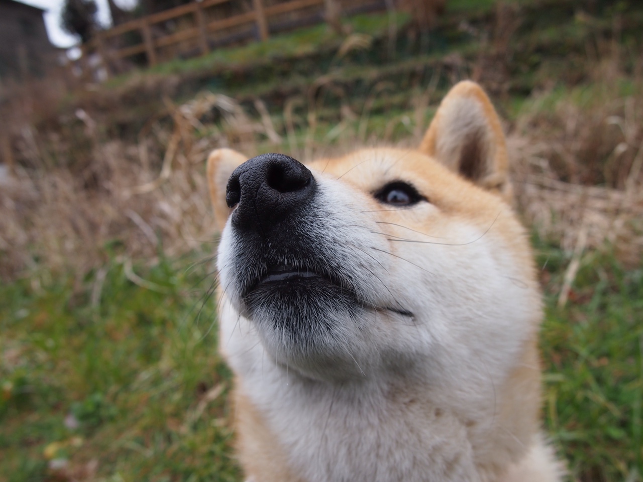 体育新闻中心上线智能体育赛事数据可视化平台，体育新闻首页