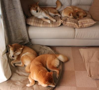 九游社区-前场控球点分布是否与射门角度选择有关，前场控球点分布是否与射门角度选择有关