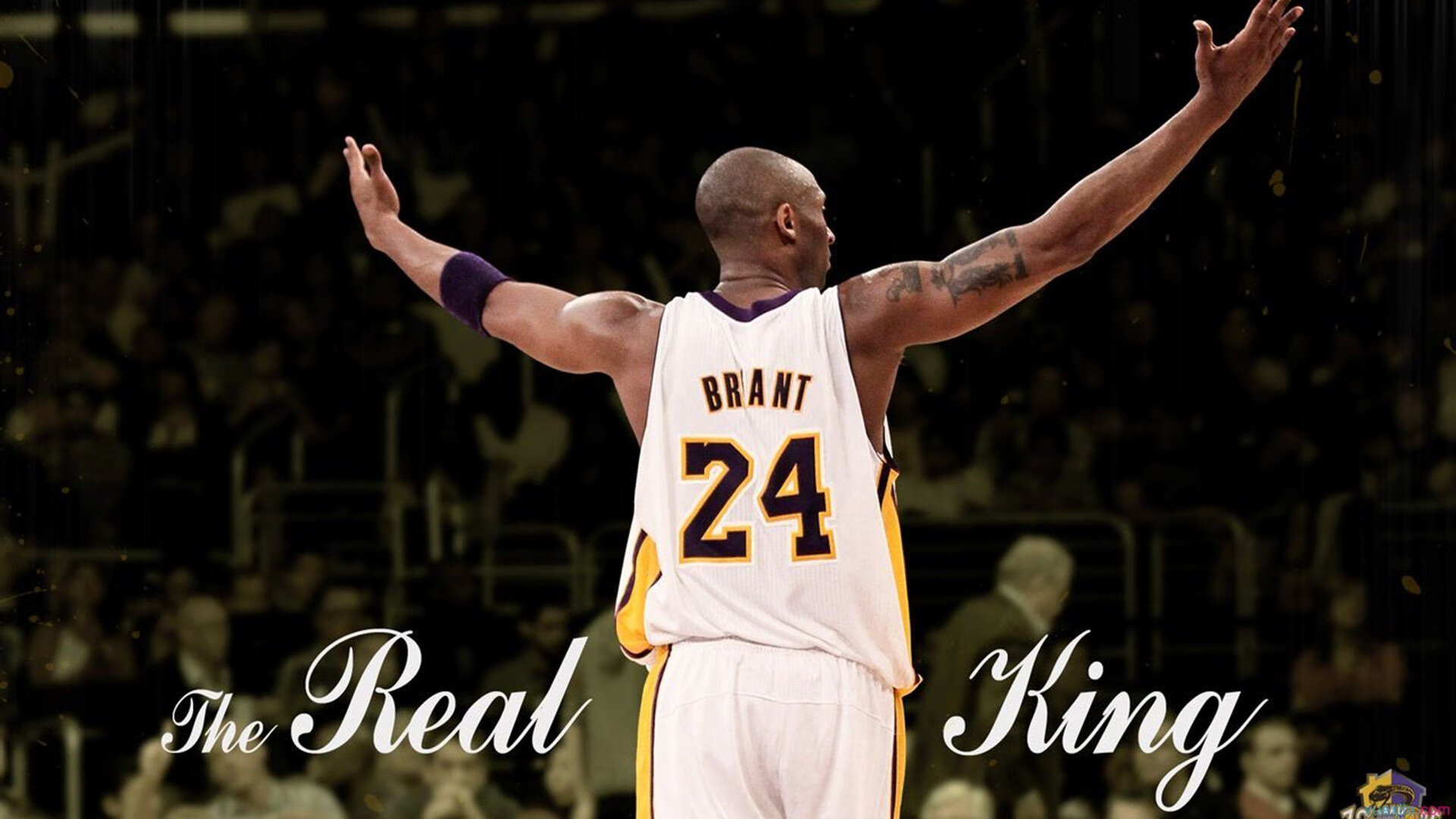 【限时投球规则】投手如何利用时间压力取胜？，投球时的规则